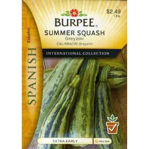  Burpee 69664 Spanish   Squash Greyzini Seed Packet Patio 