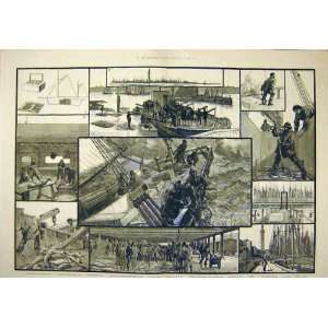  1883 Fishing Industry Line Fishing Cod Fishermen Print 