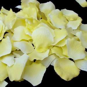    Yellow Flower Girl Petals  Silk Rose Petals: Home & Kitchen