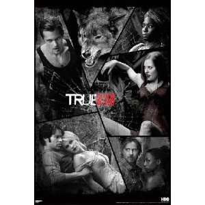 True Blood Shattered Poster: Home & Kitchen