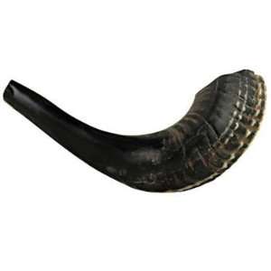  Shofar Rams Horn Shofar Small Size 29 32cm Natural Black 