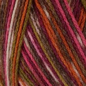   Sock Yarn (1816) Cosmopolitan By The Each: Arts, Crafts & Sewing
