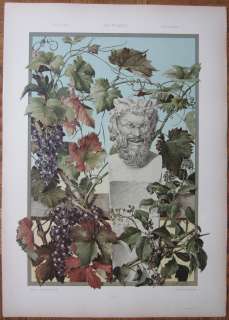 SEDER: Art Nouveau Wine Large Folio XL   1886  