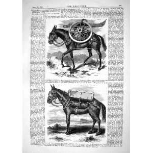  1868 WAR ARTILLERY BRITISH FIELD GUNS HORSES MOUNTAIN 