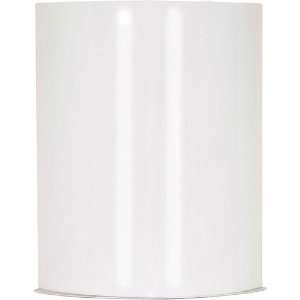  Nuvo 60/923 Crispo 1 Light Bathroom Lights in White: Home 