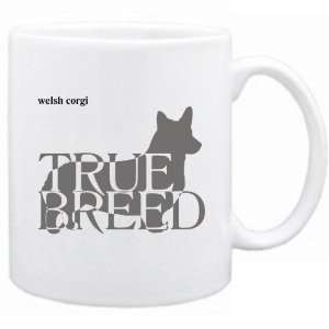    New  Welsh Corgi  The True Breed  Mug Dog: Home & Kitchen