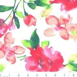 com 60 Wide Jersey Knit Fabric Watercolor Floral Melons By The Yard 