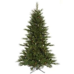   7.5 Scotch Pine Clear Pre Lit Christmas Tree: Home & Kitchen