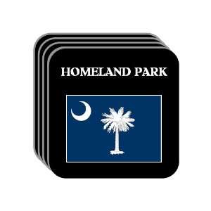  US State Flag   HOMELAND PARK, South Carolina (SC) Set of 