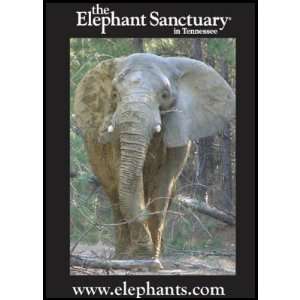  The Elephant Sanctuary Stamp