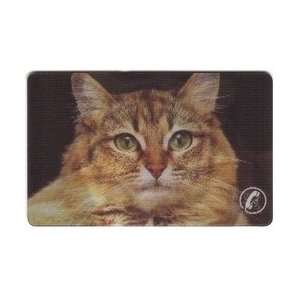 Collectible Phone Card 1u Lenticular Cat To Tiger (TeleCard World 