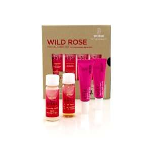  Weleda Wild Rose Facial Care Kit: Beauty
