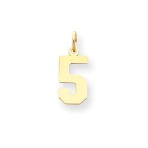  14k Yellow Gold Small Polished Number 5 Charm: Jewelry
