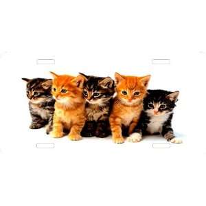  Rikki KnightTM Kittens in a Row Cool Novelty License Plate 