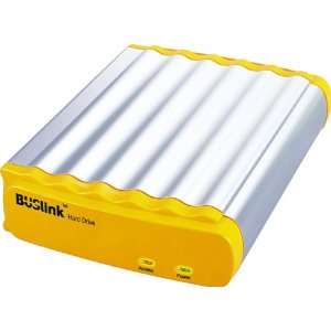  BUSLink L 100 External USB 1.1 5400 RPM 100 GB Hard Drive 