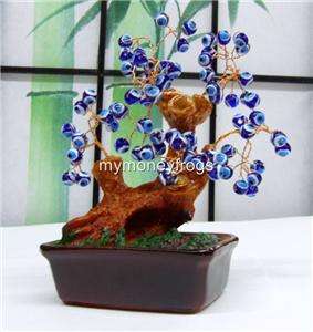   Beads Feng Shui Chinese Bonsai Protection Lucky Tree MAL DE OJO  