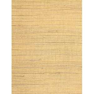  Wallpaper Steves Color Collection Grasscloth BC1580228 