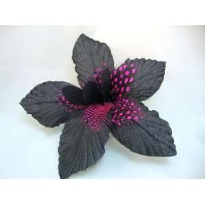  NEW Black and Pink Lily Hair Flower Clip, Limited.: Beauty