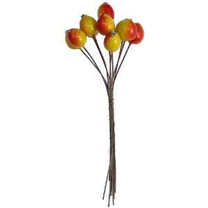  10 Red and Yellow Lacquered Rose Hips ~ 1/2 ~ Czech 