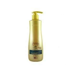  Iden Botanical Energy Shampoo   Sulfate Free   16.9 oz 