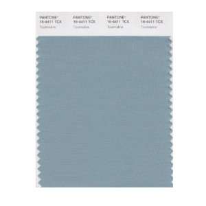   PANTONE SMART 16 4411X Color Swatch Card, Tourmaline: Home Improvement