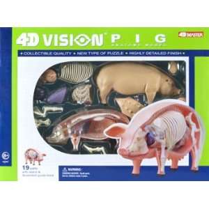    4D Vision   Visible Pig Anatomy Kit (Science) Toys & Games
