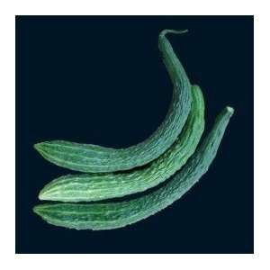 Suyo Long Cucumber Seeds 