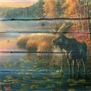  King Dimensions Canoe Country Wall Art