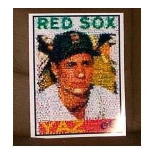    Boston Red Sox Carl Yaz Yastrzemski Montage 