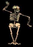Animated Musician & Dancing Skeleton W Music! Very Cool  