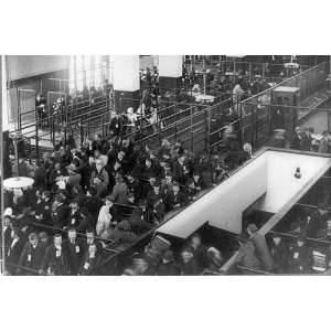  Immigrants Arriving on Ellis Island 1902   8 1/2 X 11 