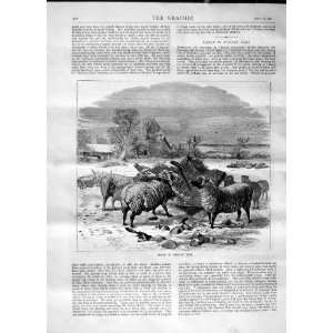   1870 SHEEP WINTER TIME SNOW FARM ANIMALS HOUSE TREES: Home & Kitchen