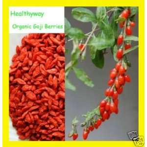  Healthyway Organic Goji Berries Wolfberry: Health & Personal Care