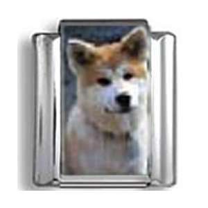  Akita Dog Photo Italian Charm: Jewelry