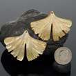 Iridescent Oyster SHELL CARVING Ginkgo Leave Design Earring Pair 