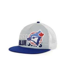 Toronto Blue Jays American Needle MLB Soul Cap:  Sports 