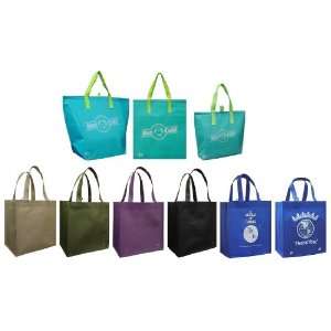  3 Insulated Aqua Color Tote Bags + Reusable Grocery Tote 