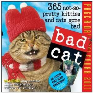  Bad Cat Page a day 2011 Desk Calendar