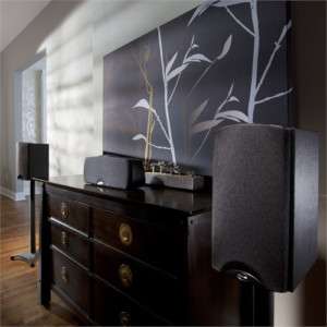 Klipsch Speakers B 20 Home Theater Speaker System SW110  