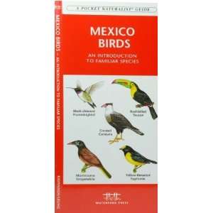 com Mexico Birds An Introduction to Familiar Species (International 