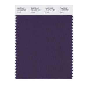  PANTONE SMART 19 3728X Color Swatch Card, Grape: Home 