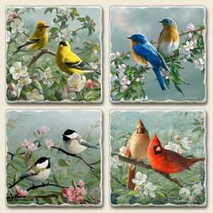  Sweet Songbirds Tumbled Stone Coasters: Kitchen & Dining
