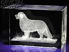 BERNESE MOUNTAIN DOG* 3D Laser Crystal Figurine DD013s