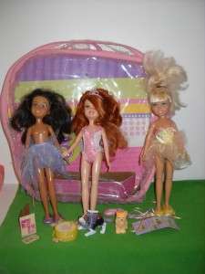 Barbie Wee Friends 3 Dolls Case Dogs Lot  