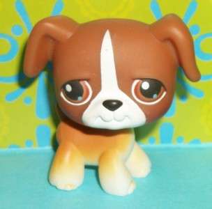   Pet Shop~#25 ORIGINAL BROWN & WHITE BOXER PUPPY DOG Retired~F103 LPS