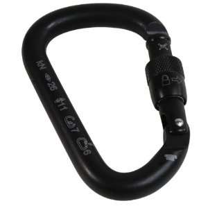 Rock Exotica Pirate screw lock carabiner (black)  Sports 