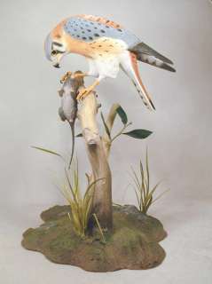 Male American Kestrel with Mouse Original Wood Carving  