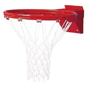   Double Ring Breakaway Basketball Goal from Gared