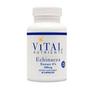  Echinacea Extract SE 500 mg 60 caps (Vital Nutr.) Health 