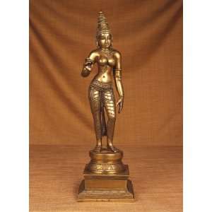  Miami Mumbai Parvati Antique Finish Brass StatueBR102 